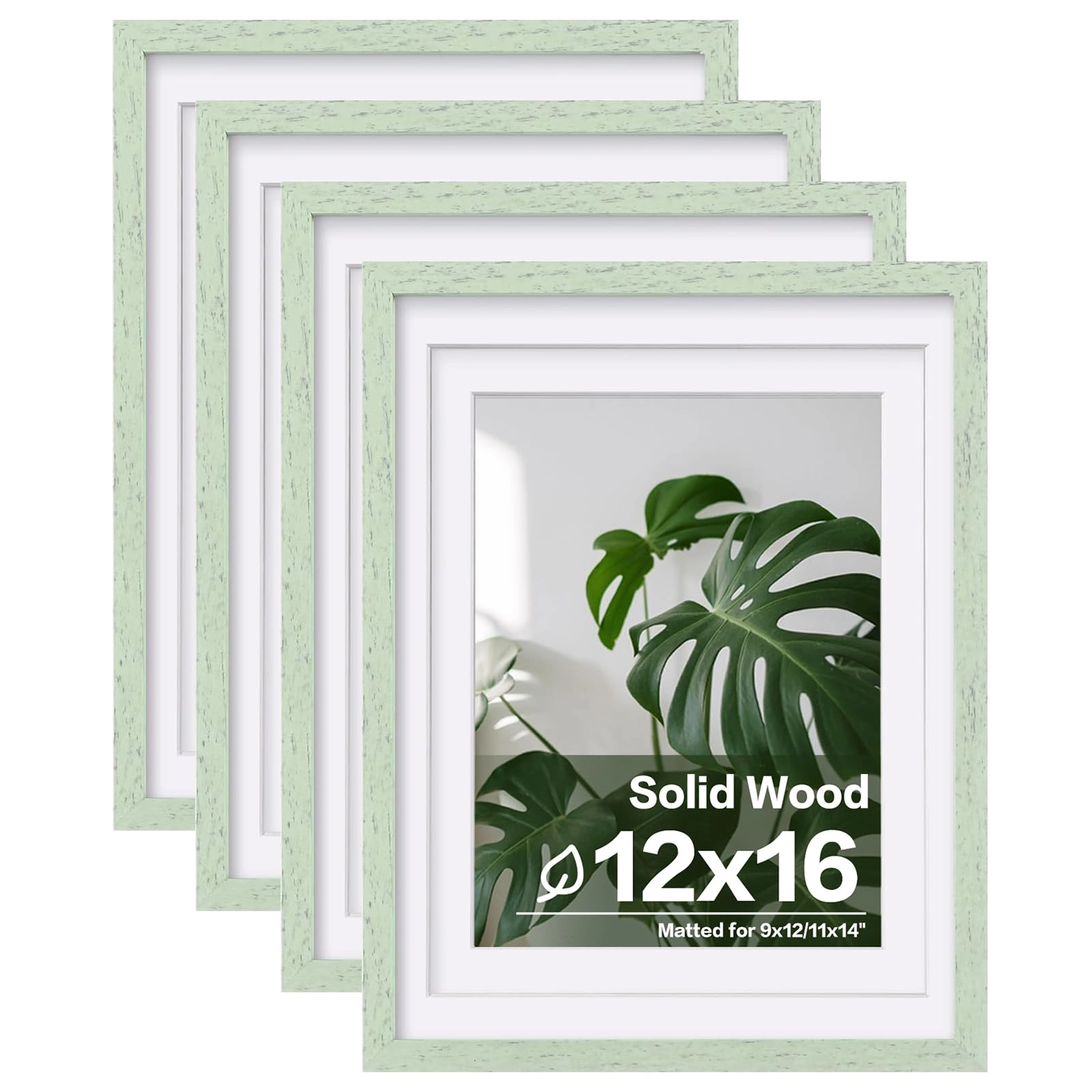 picture frames - 12x16