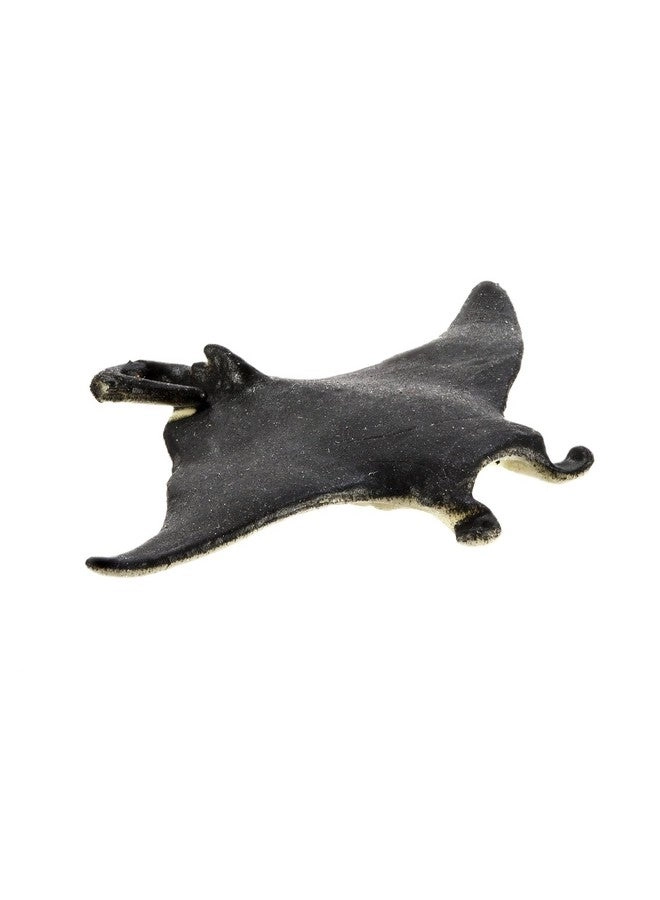 Sea Life Pack Marine Life - 5 years+