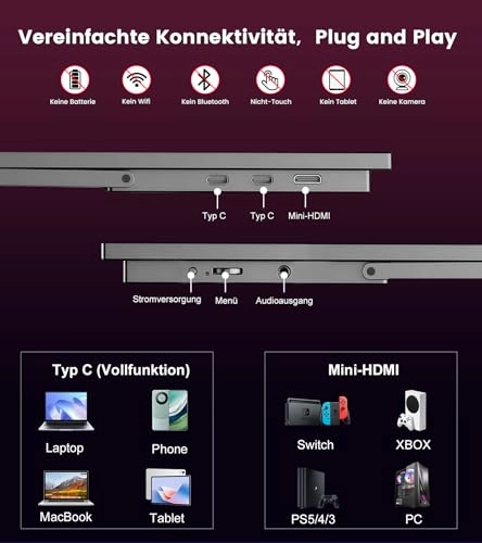 XS-DE-185-100hz - 18.5 inches 1920 x 1080