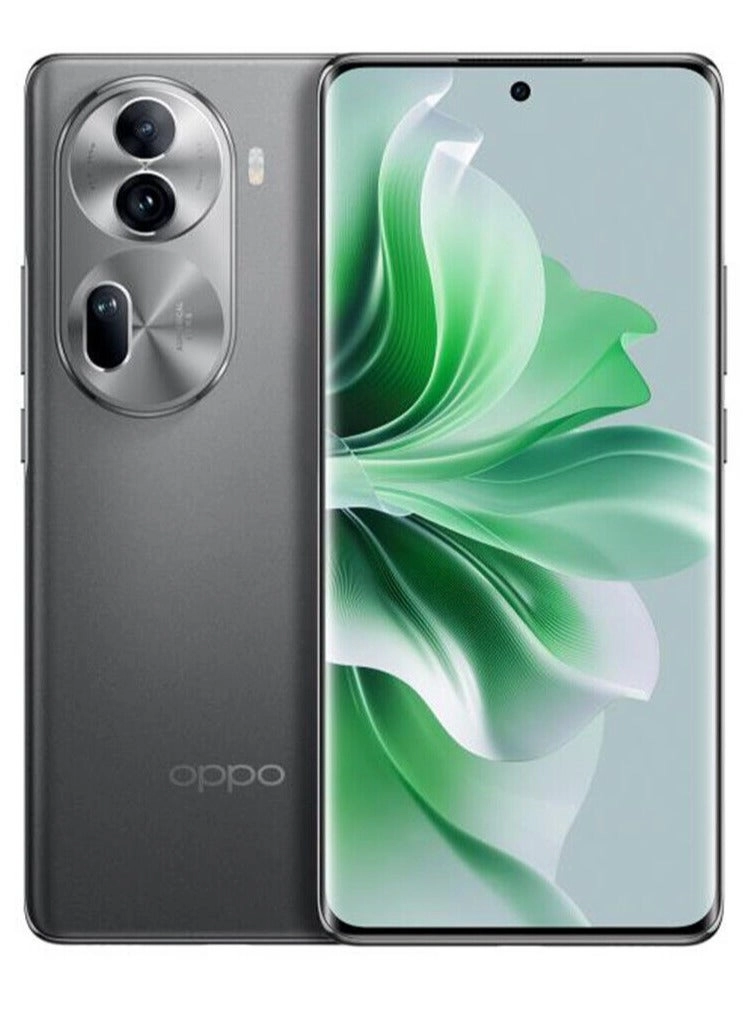 Reno 11 12GB 256GB