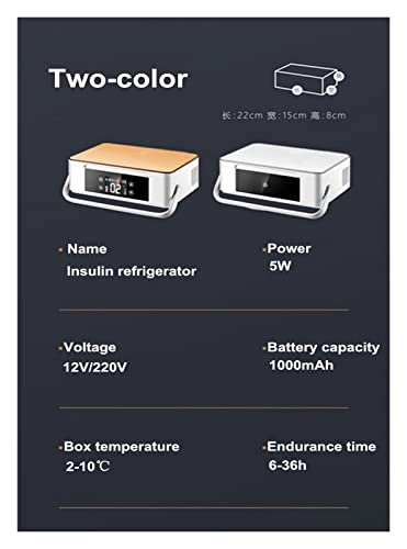 Insulin refrigerator - Two Battery Portable