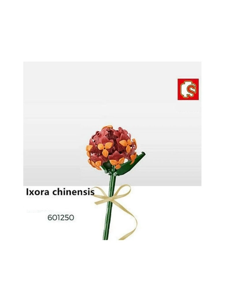 Ixora Flower - 2.0 pcs