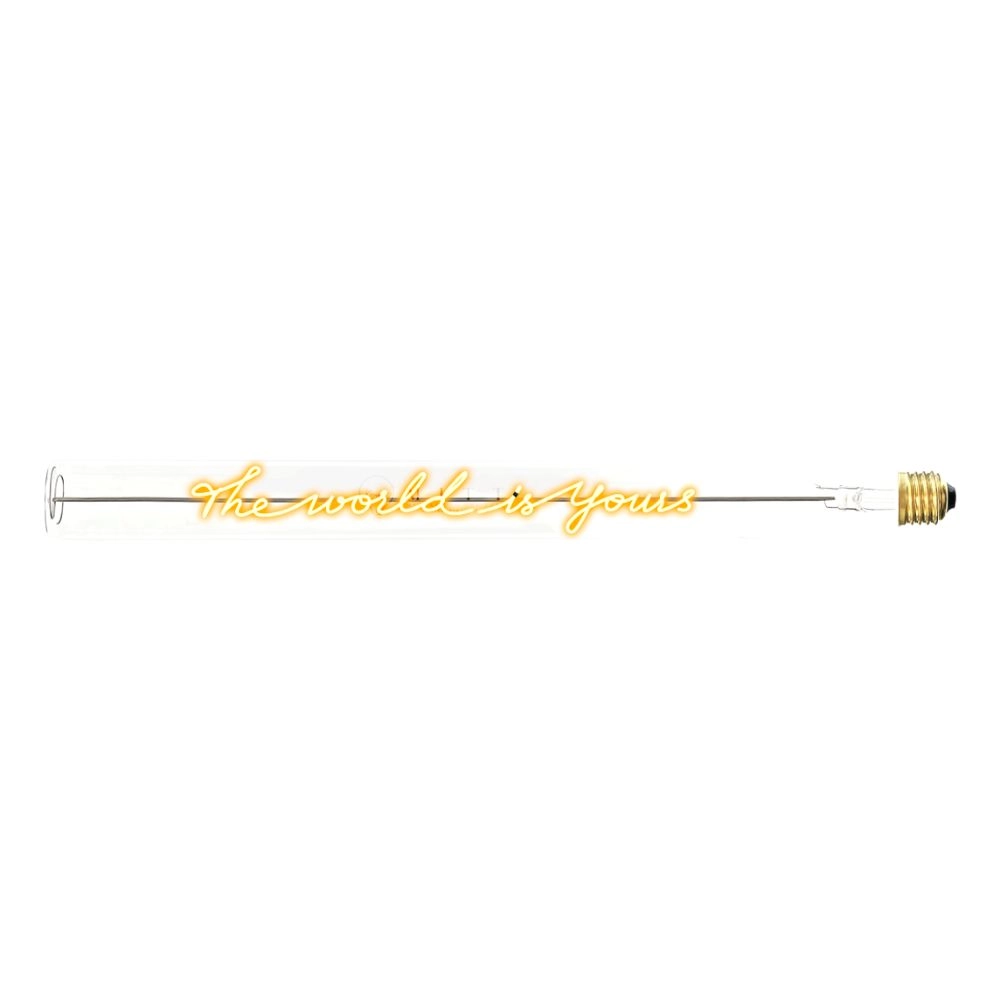 MESSAGE IN THE BULB Message In The Tube The World Is Yours