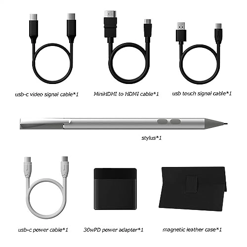 Portable Monitor - 1WLBPJ9KHMTZ 15.6 Inch 1920 * 1080