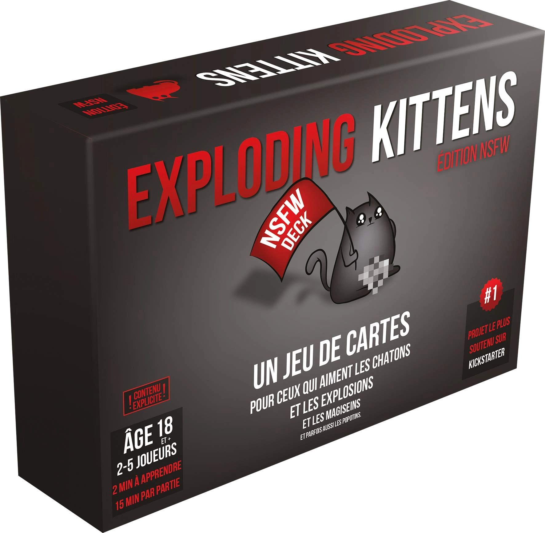 Exploding Kittens: NSFW Edition - Card Game (French)