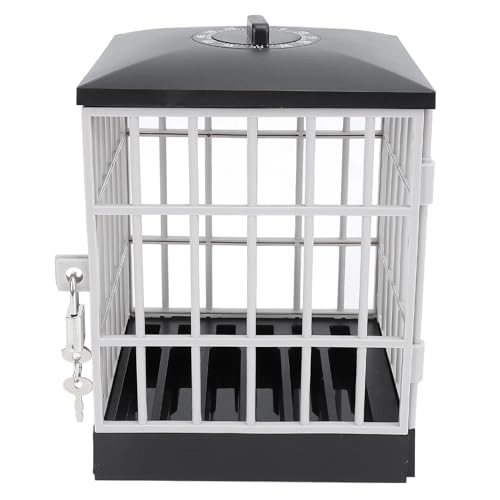 Cell Phone Jail Lock Box - Plastic