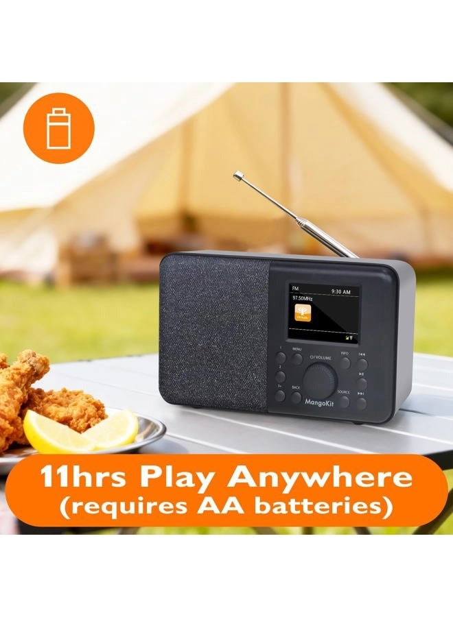 SR10 - Portable Internet Radio