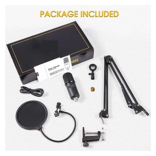 ss1/i46574 USB Microphone