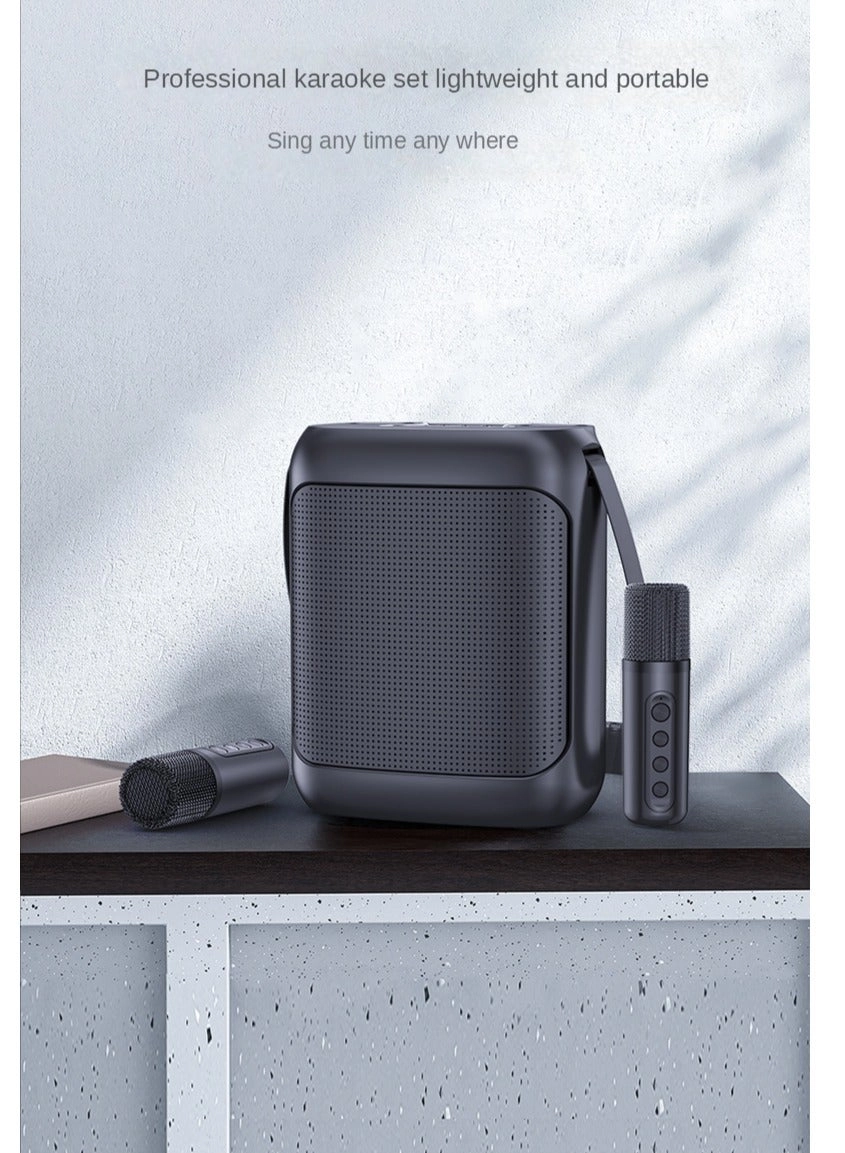 UAE65894 - Dual UHF Microphones