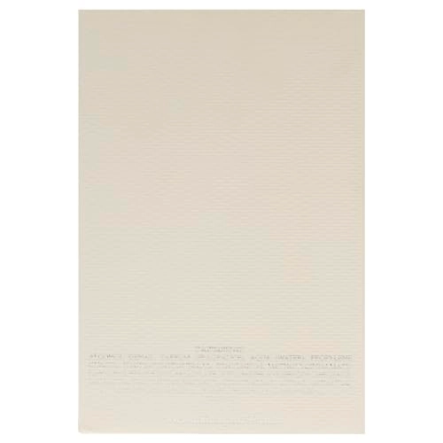 1799 The Big Bad Cedar Eau de Parfum 100ml