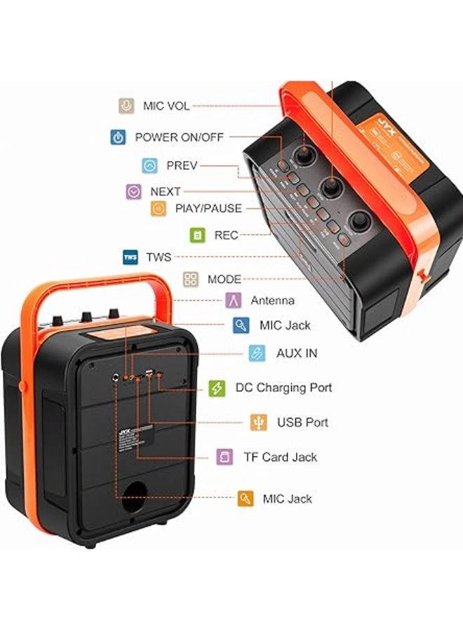 Karaoke machine - 2 wireless microphone