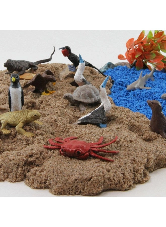 Galapagos Wildlife TOOB - Figurines of Seal, Blue-Footed Booby, Tortoise & More Ages 3+