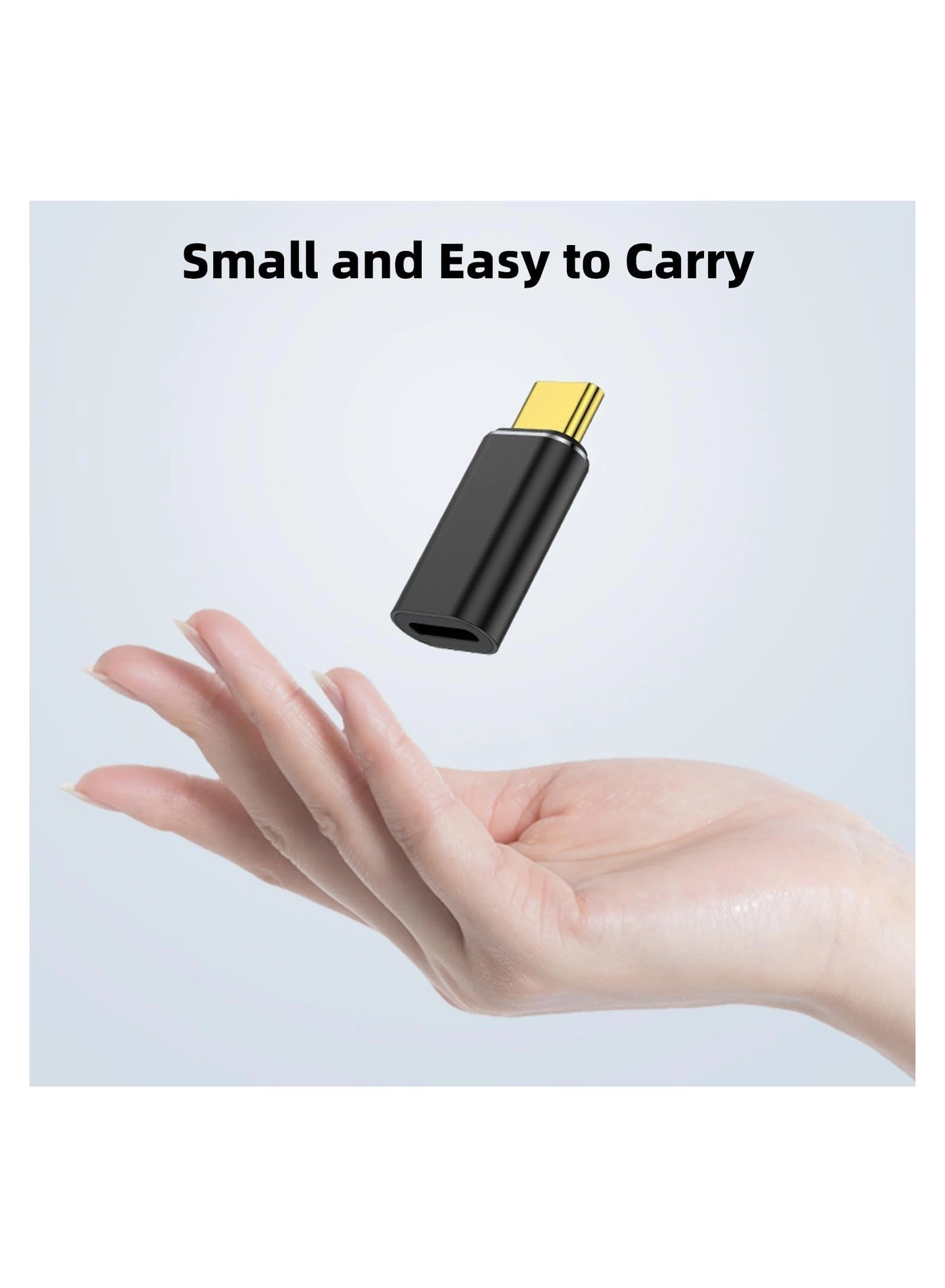 USB-C Male to Lightning Female Adapter