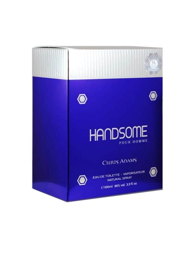 Handsome Eau de Toilette 100 ml