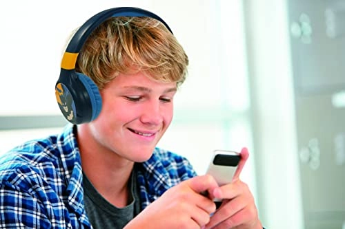 HPBT010BAT Wireless Headphone