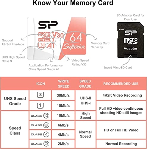 STXDV3V20SP - 256GB