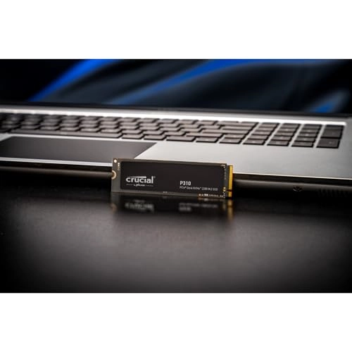 P310 - 2TB M.2