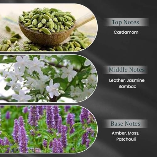 OMBRÉ SUEDE Eau de Parfum 100ml