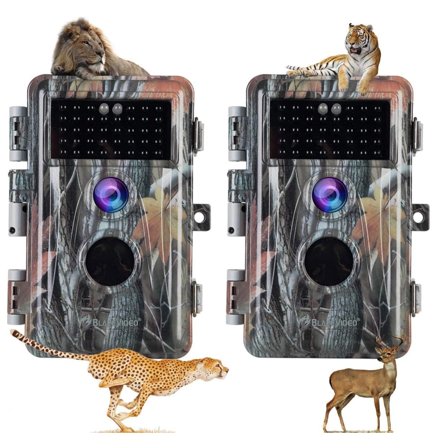 TrailCam-Basic - 16MP