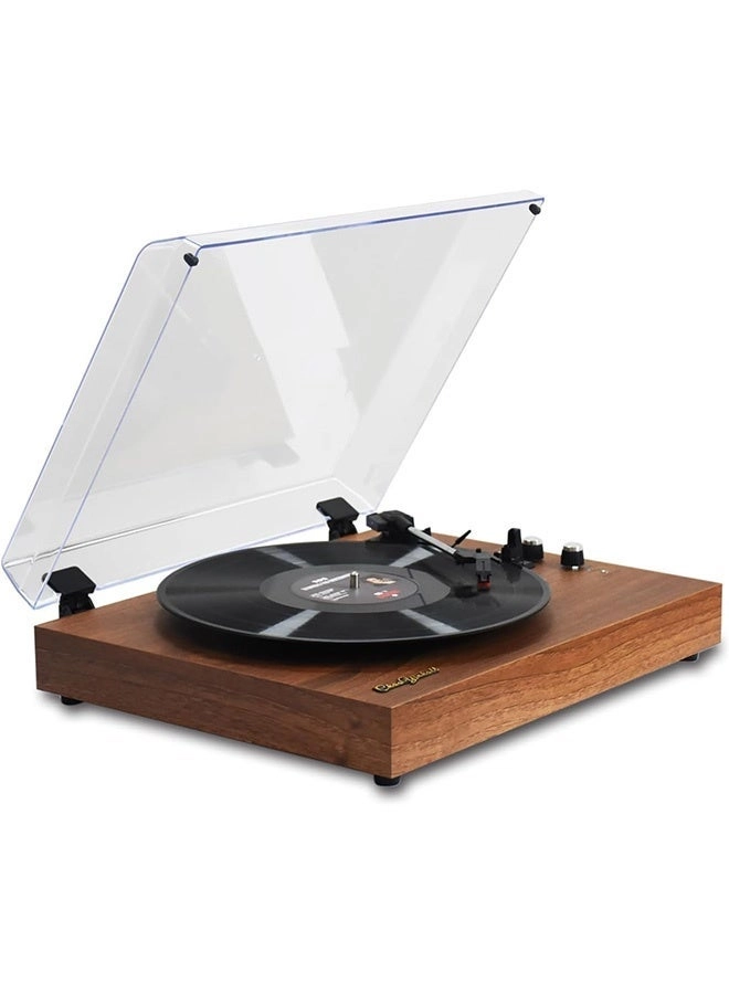 Vinyl Record Player