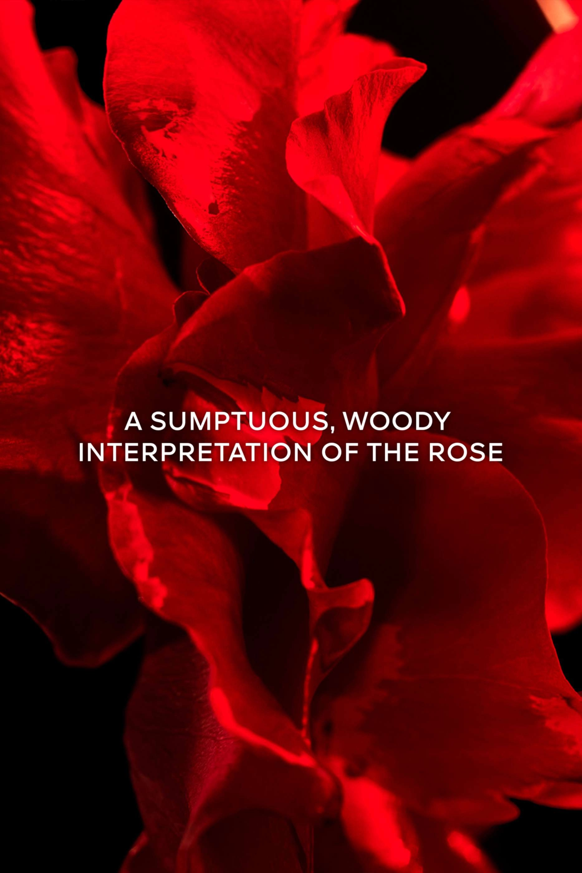 (Refill) Rose Barbare Eau de Parfum 20ml x 2