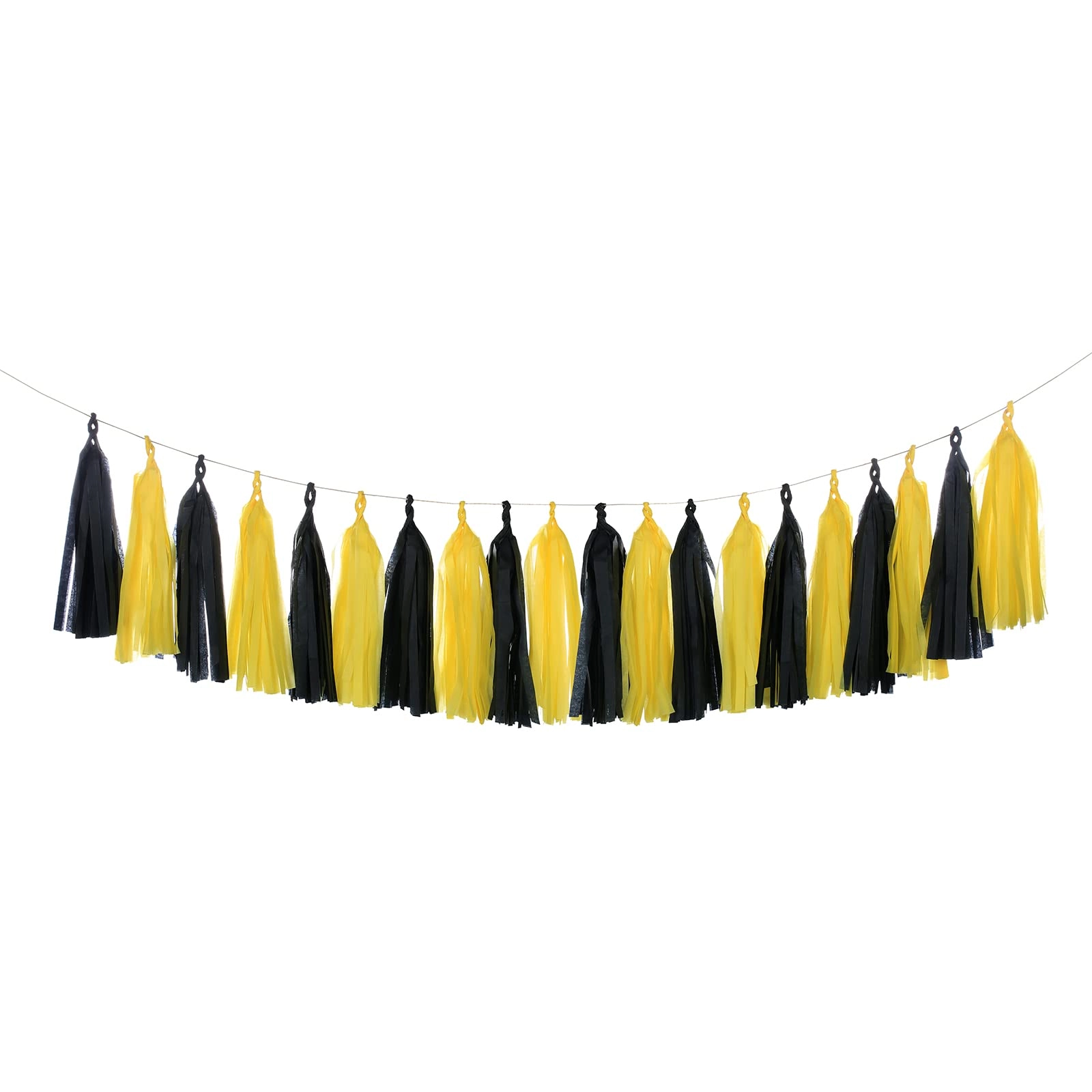 Tissue Paper Tassel Garland - 20pcs Party