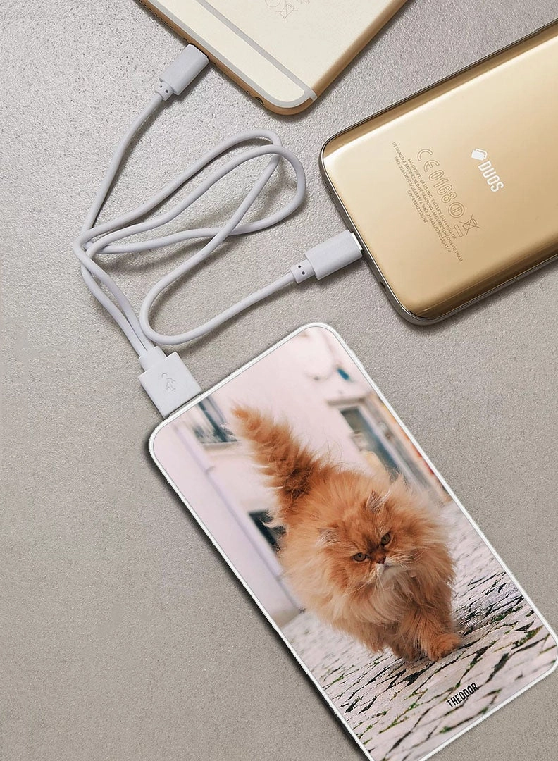 PPBA680 - 10000 Watt-hour