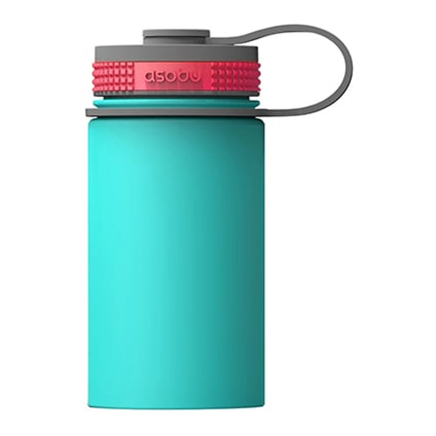 TMF3 Mini Hiker Water Bottle - hang tag carry lid Stainless Steel 355 ml