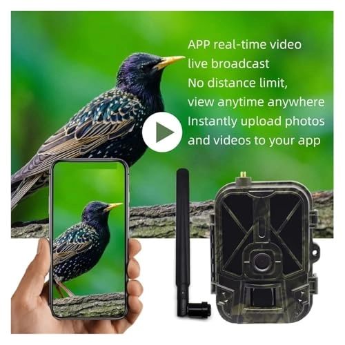 Wildlife Camera - 4G 50MP