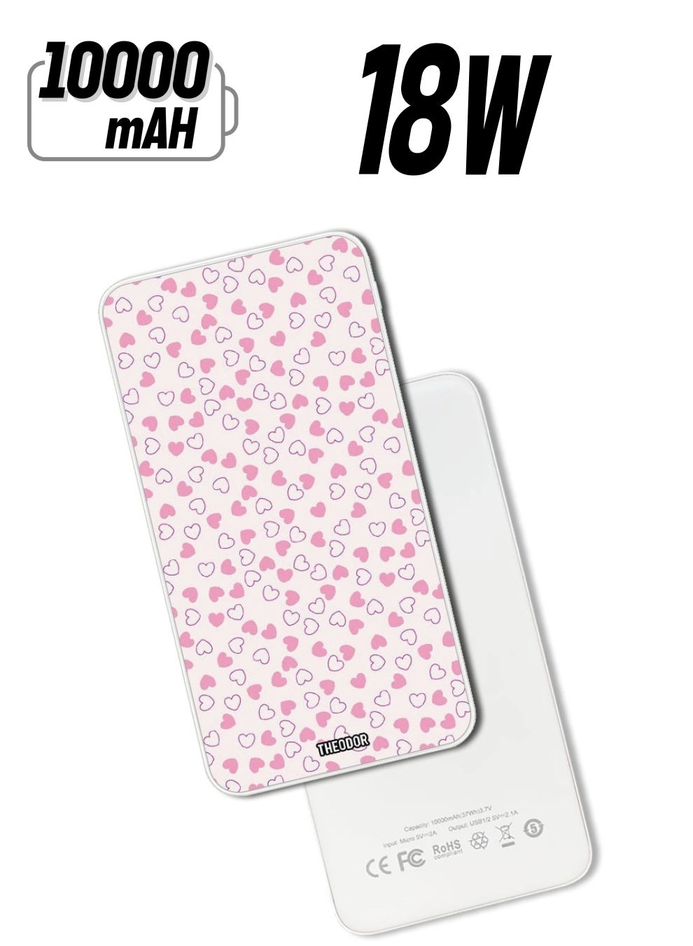 PPBA559 - 10000 Watt-hour 18W PD