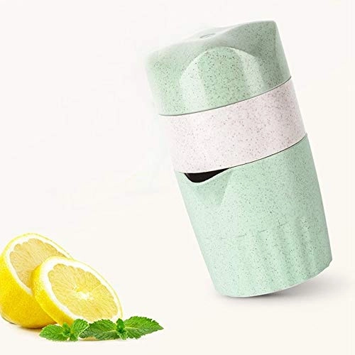 Mini Juicer - 300W 500ml