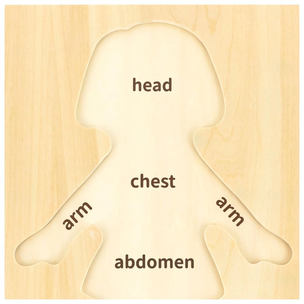 Body Parts Puzzle-Girl - 3 + 7 pieces