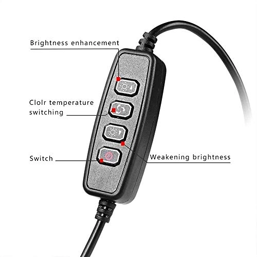 Ring Light LED - 6" Tripod 3 Light Modes