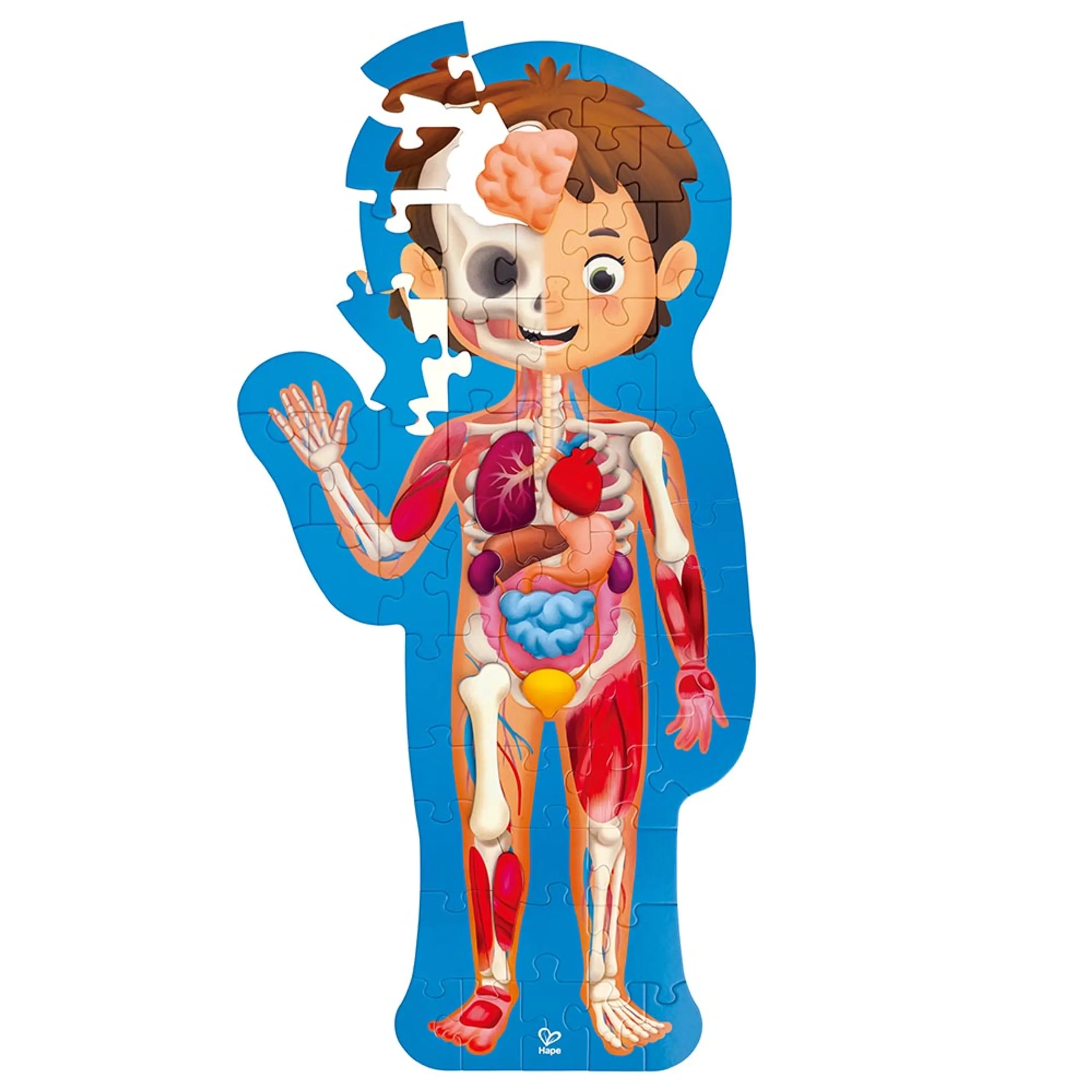 Hape Toys Human Body Jigsaw Puzzle - 4 years and up 60 pieces