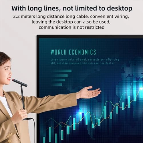 ANYMicrophone0812 USB+3.5mm-Mini-Jack Microphone