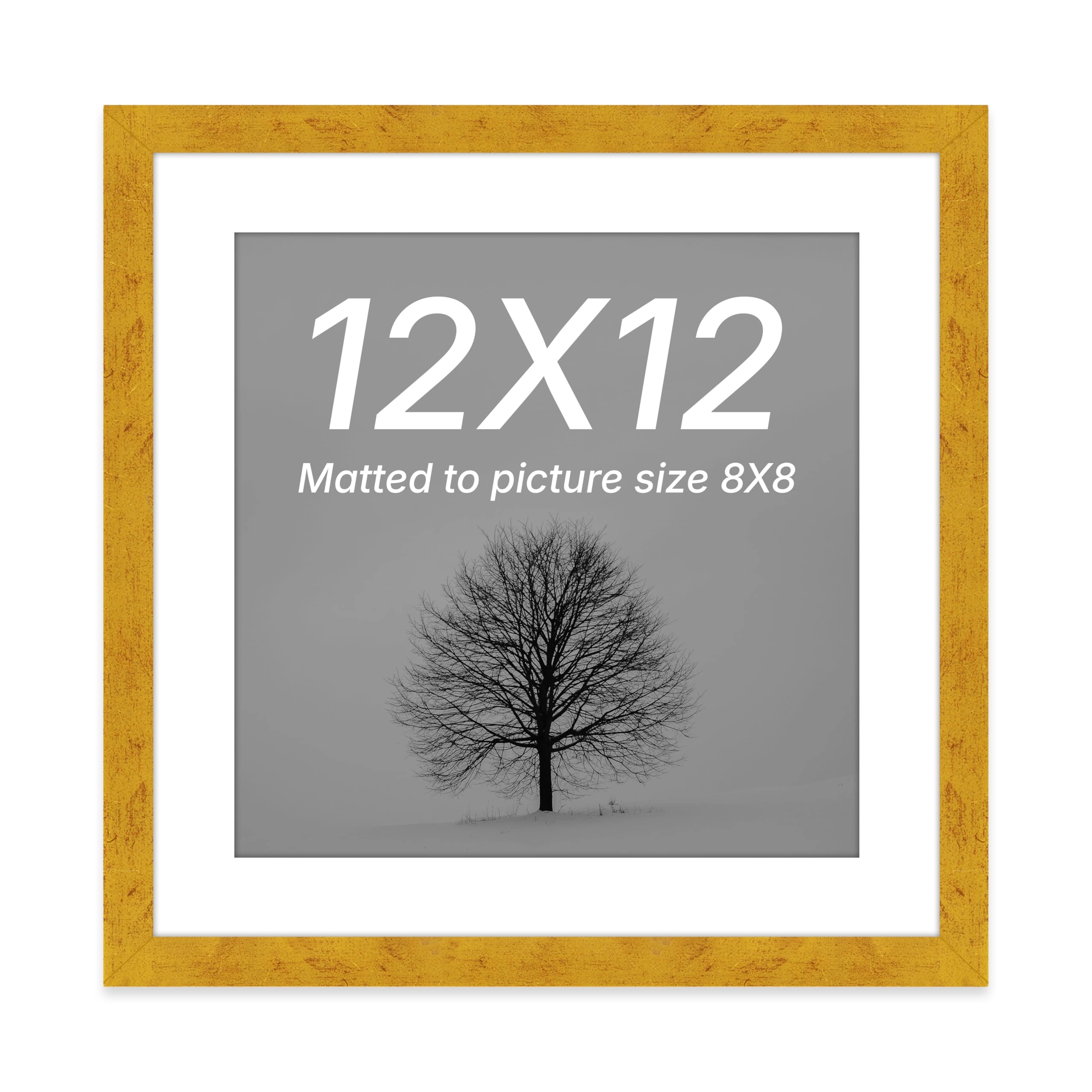 Edge Square, Edge Square Document Frame - 12x12 Inch