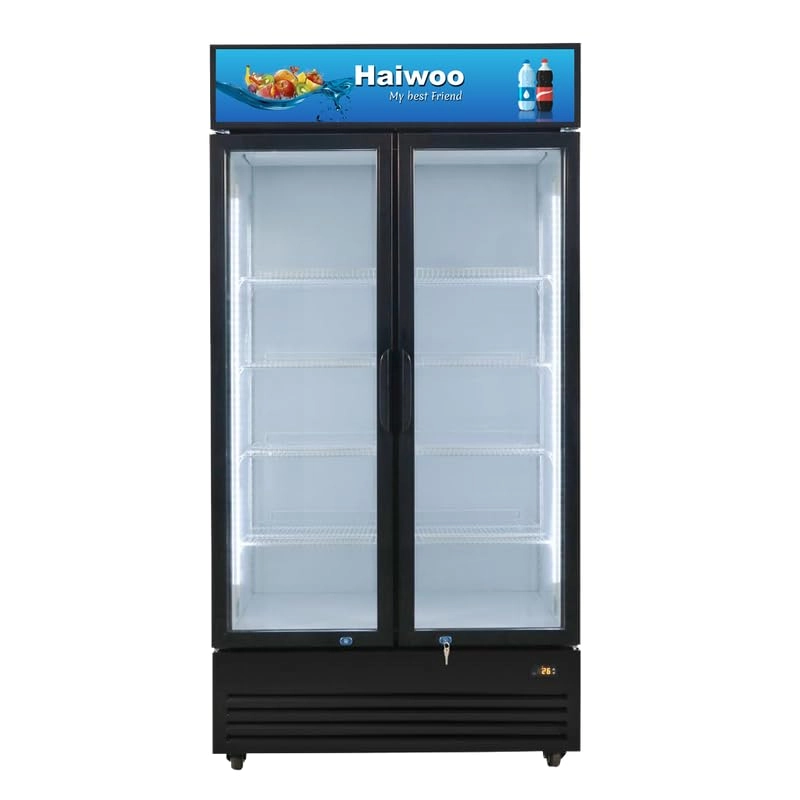 Haiwoo Hwch-1100H - 879L 0-10 c