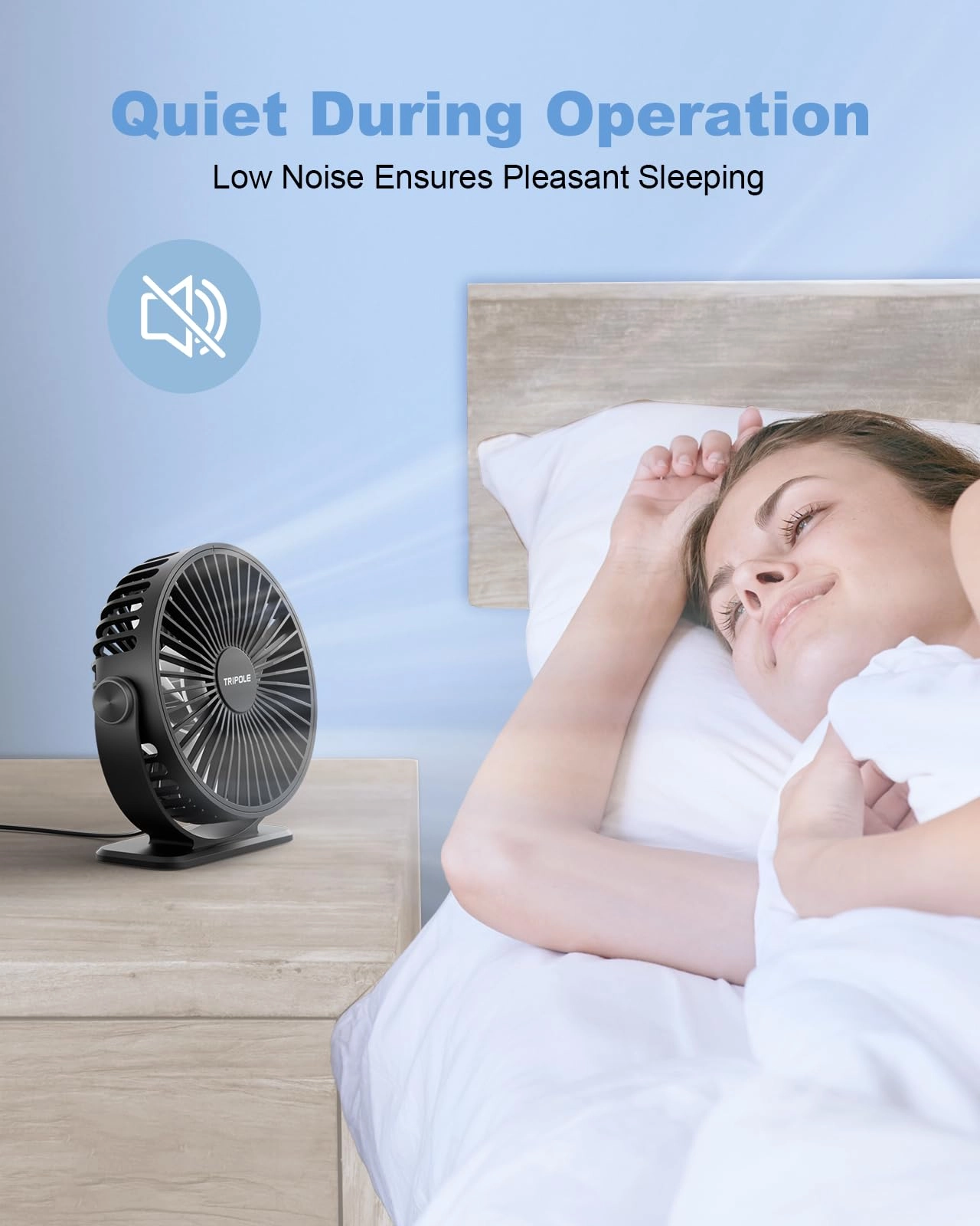 Desk Fan - Desktop 4.5in Pack