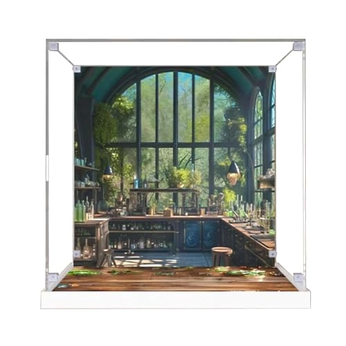 LE-GO Acrylic Display Case