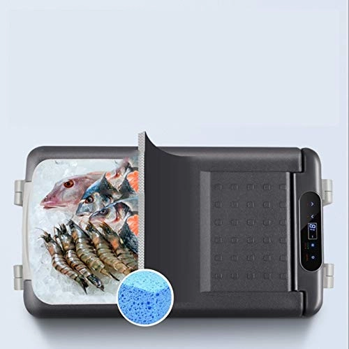 Car Refrigerator Freezer - Dual-use 12V/24V/100-240V