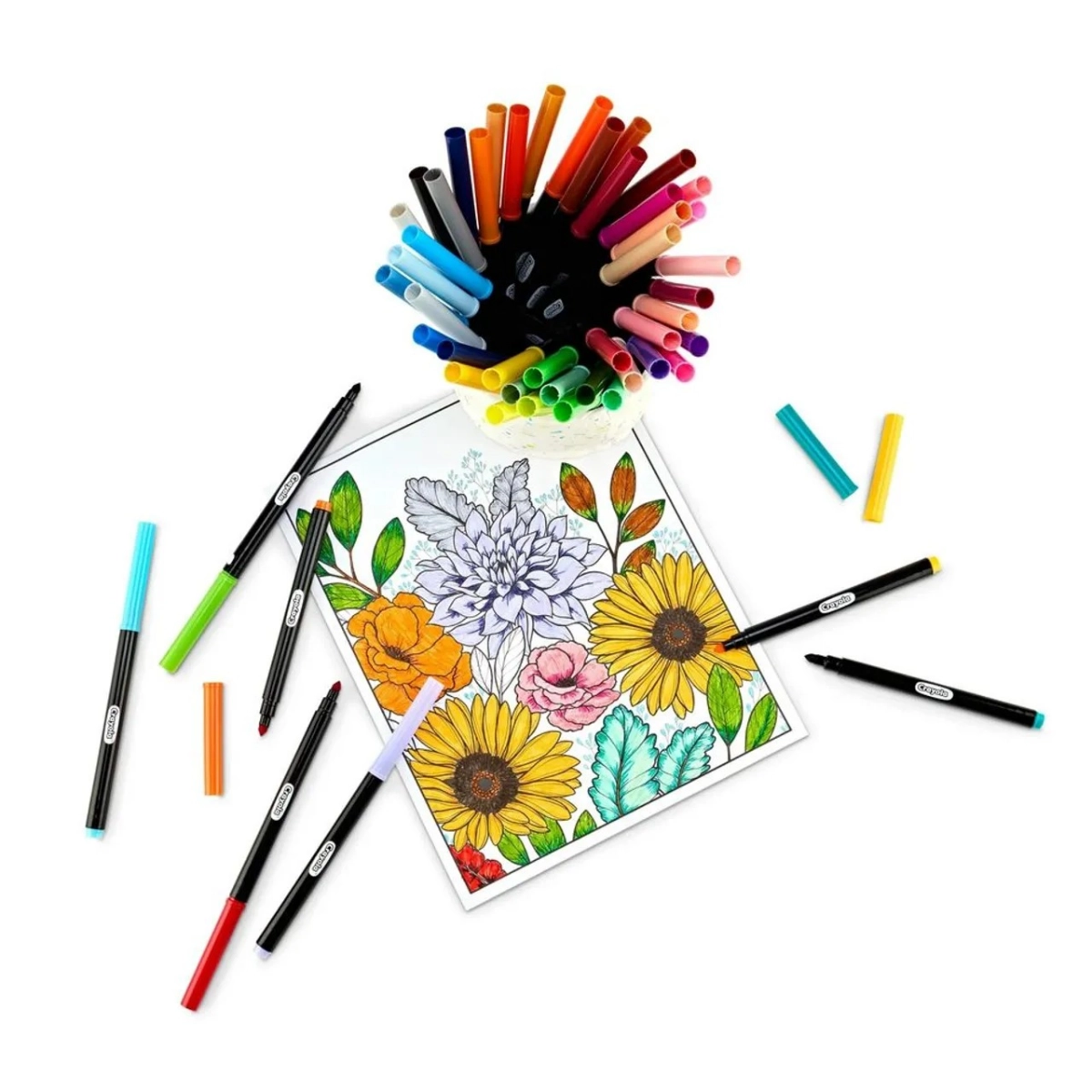 Color & Detail Marker Set - Multi Colour Graphic tips