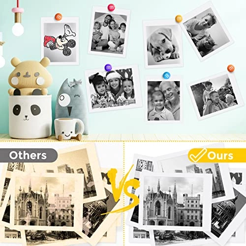 Camera Print Paper - 10 Rolls 2.2"
