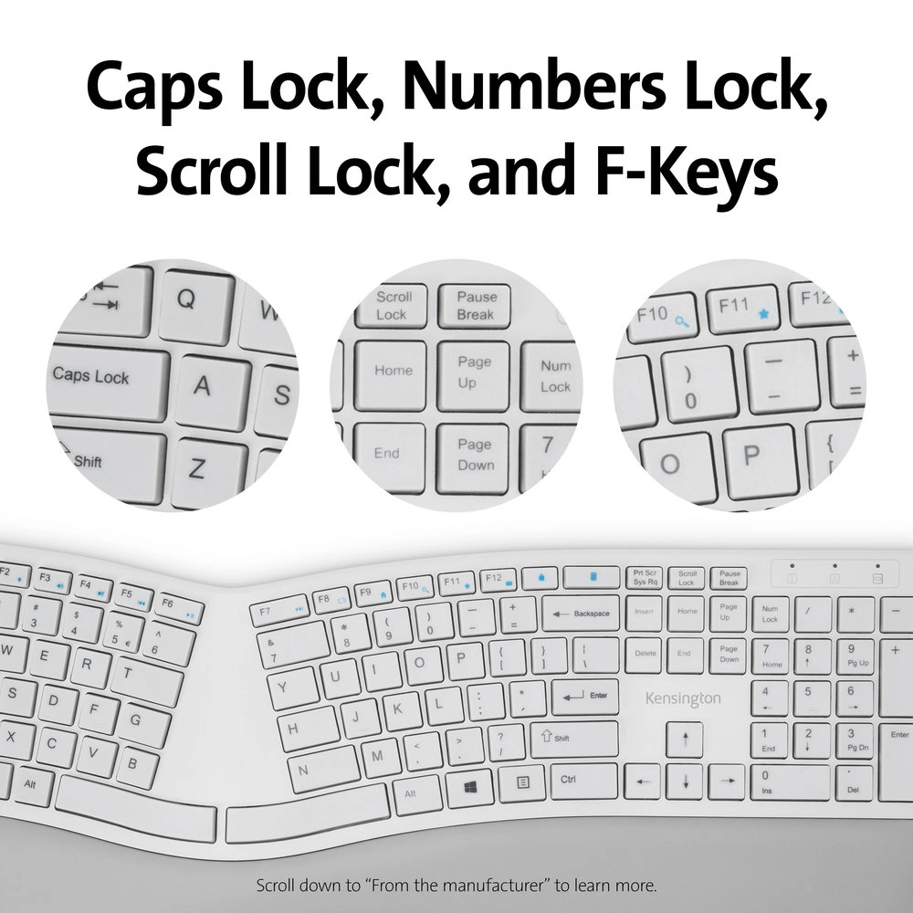 Pro Fit Ergo - Wireless