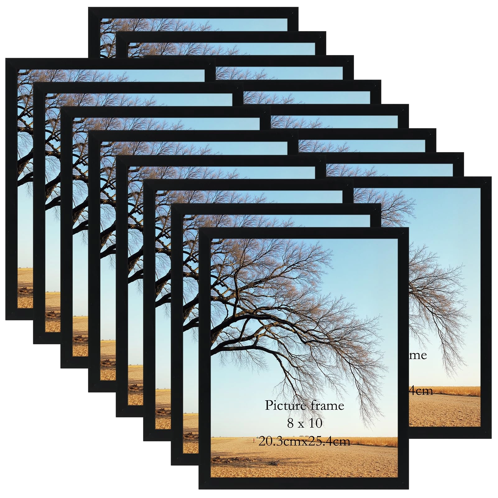 Sainthood Picture Frame - 8x10