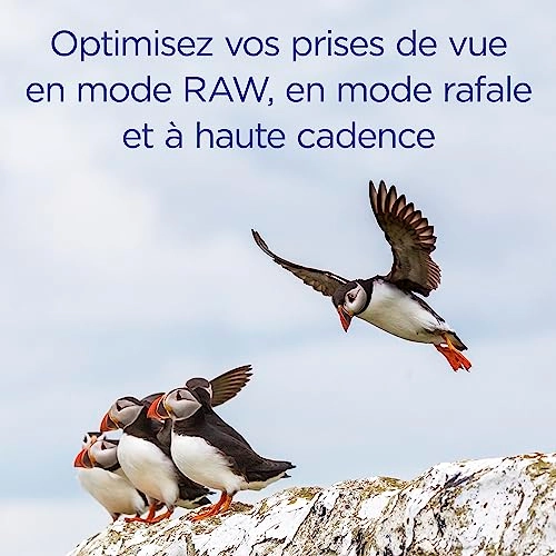 UHS-II SD Card - 1TB