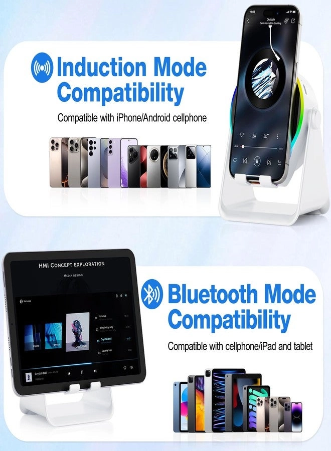 Wireless Induction Speaker