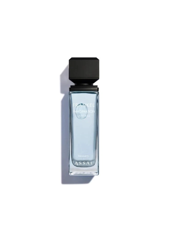 ASSAF Frankel Imagination - Eau de Parfum 100 ml