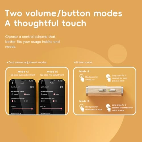 BTR13 - Dual CS43131