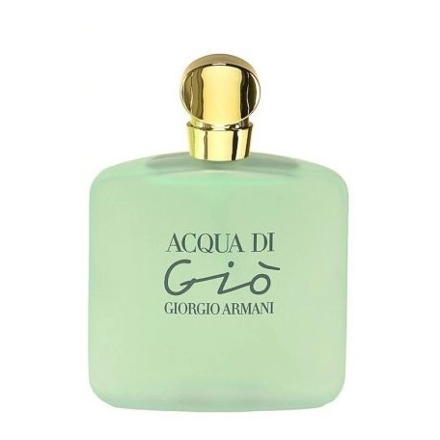 Acqua di Gio Eau de Toilette 100ml