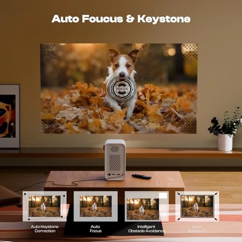 P1 P-004W 3840 x 2160 Pixels